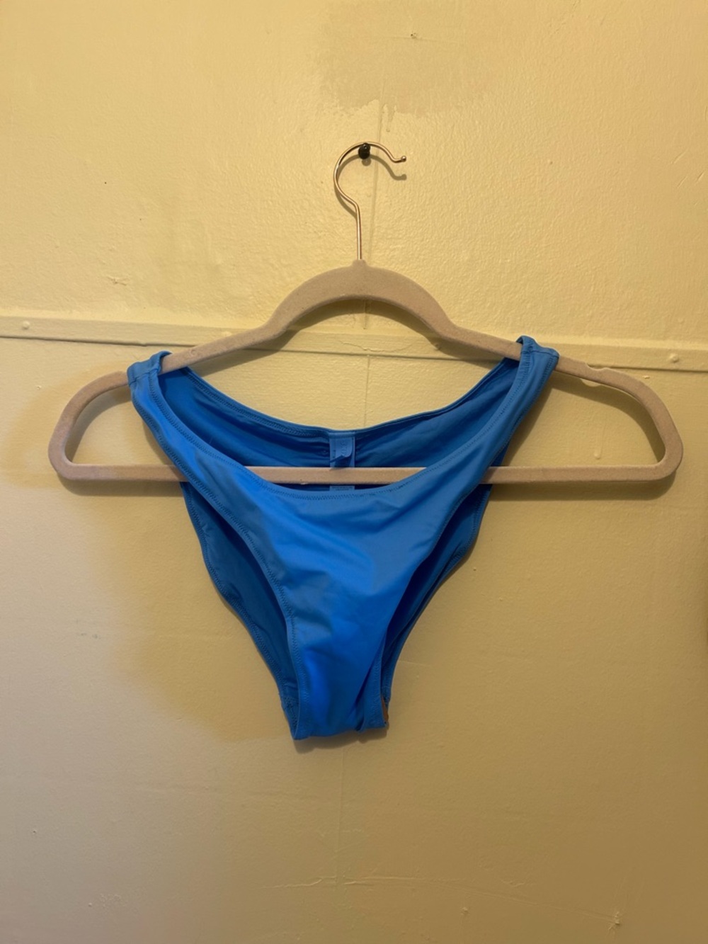 SKIMS tide bikini bottom